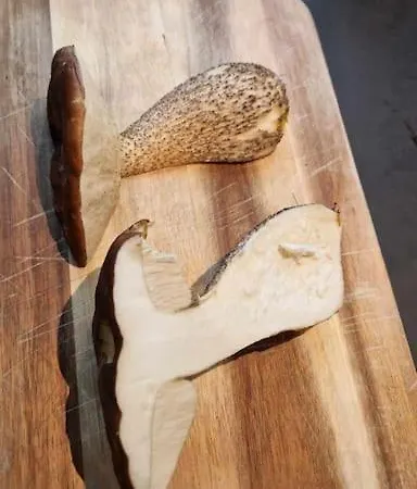 Animal Trail * Sandnes (Rogaland)