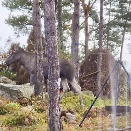 Animal Trail Holiday home *