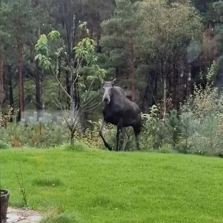 Holiday home Animal Trail