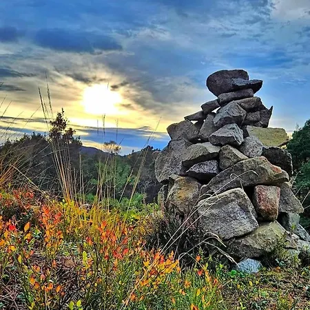 Animal Trail بيت للعطل ساندنيس